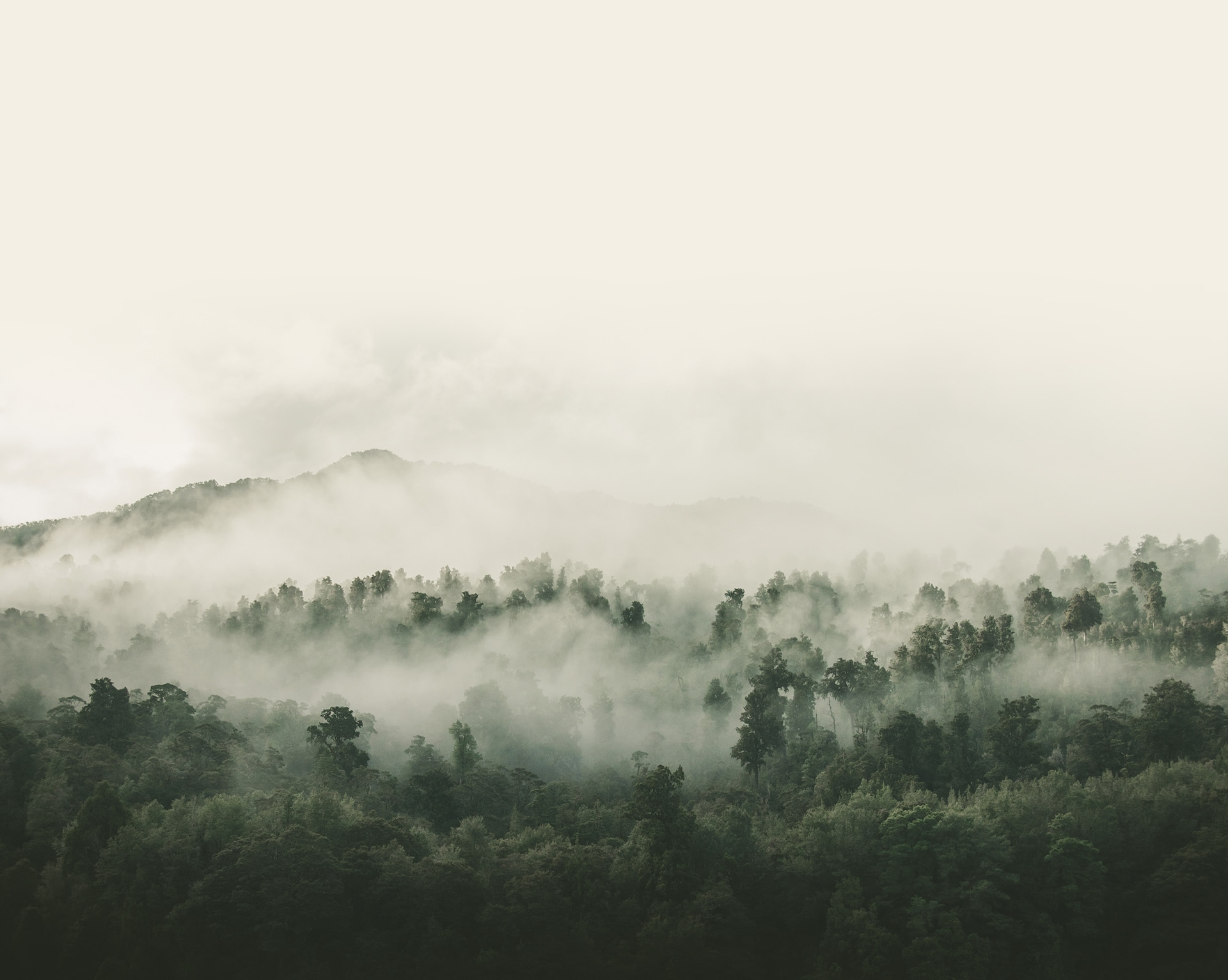 Карпатські гори